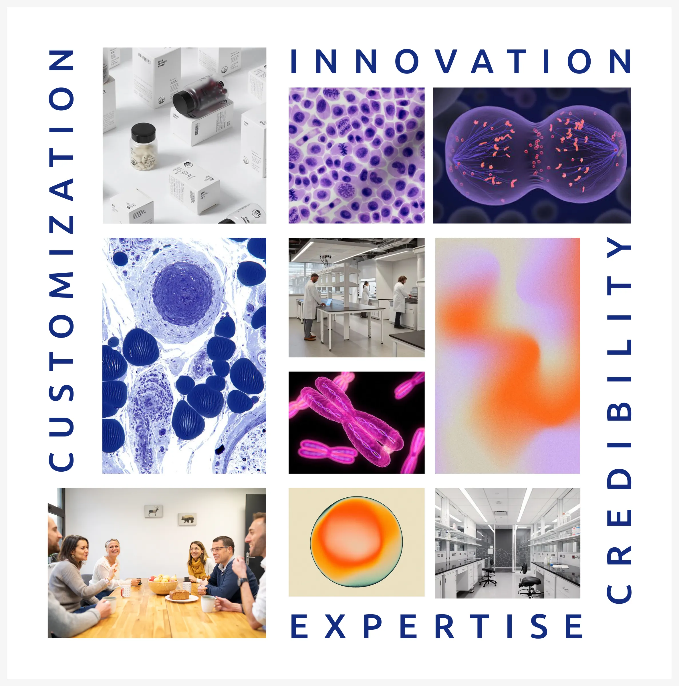 Moodboard combining scientific imagery, laboratories, the INITS team and colour references, framed by innovation, customization, credibility and expertise.